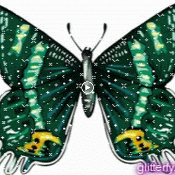 Meet your Posher, M - Picture 1 of 1